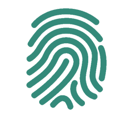 Electronic Skin Thesis